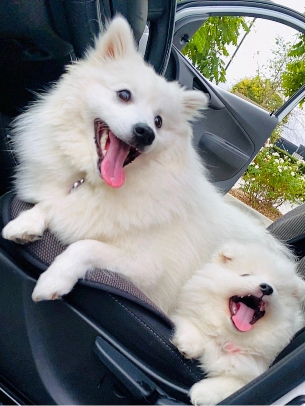 BUNDLE!